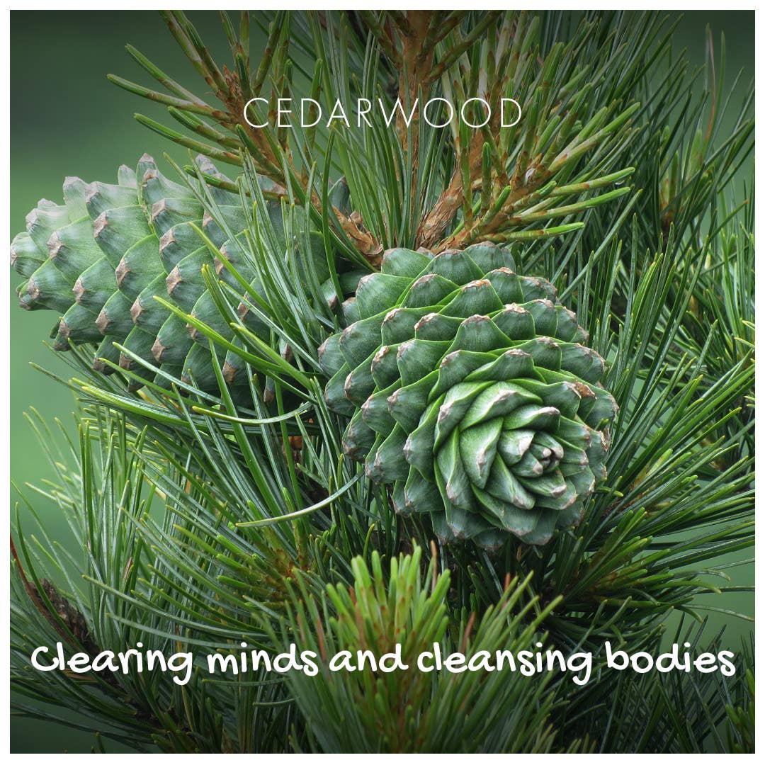 Friendly Soap Cedarwood Soap Bar | Plastic-Free Vegan Soap - Image 3